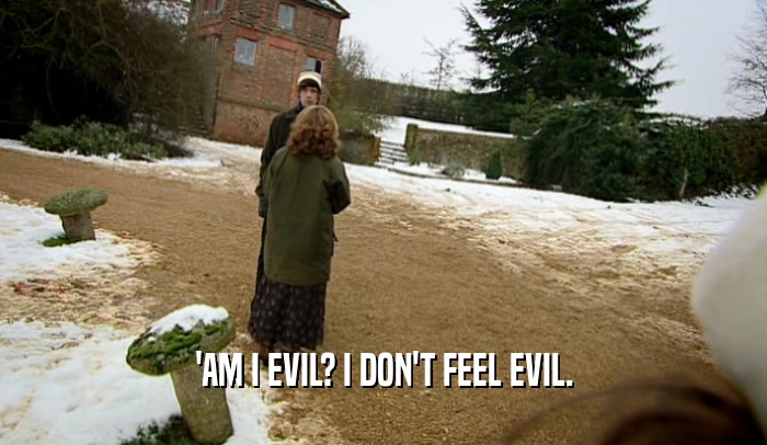 'AM I EVIL? I DON'T FEEL EVIL.  