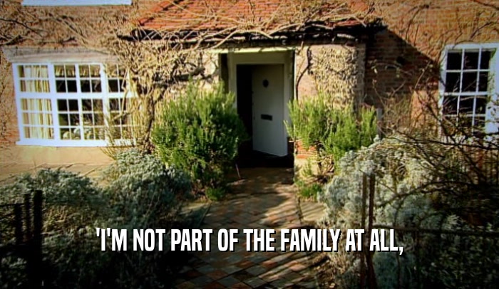 'I'M NOT PART OF THE FAMILY AT ALL,  