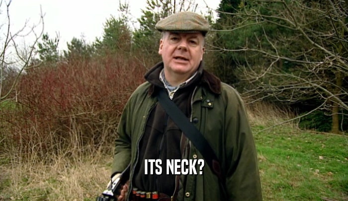 ITS NECK?  