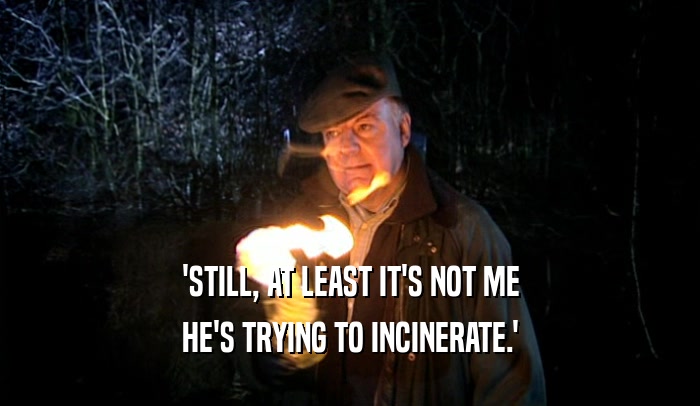 'STILL, AT LEAST IT'S NOT ME HE'S TRYING TO INCINERATE.' 