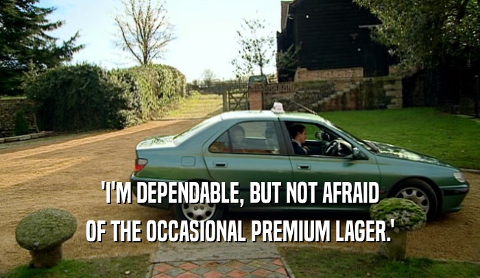 'I'M DEPENDABLE, BUT NOT AFRAID OF THE OCCASIONAL PREMIUM LAGER.' 