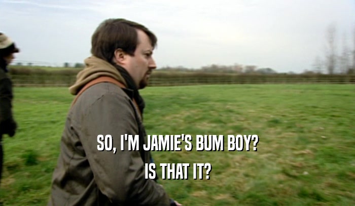 SO, I'M JAMIE'S BUM BOY? IS THAT IT? 