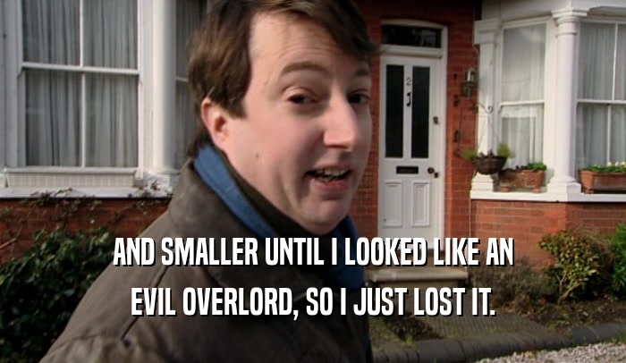 AND SMALLER UNTIL I LOOKED LIKE AN EVIL OVERLORD, SO I JUST LOST IT. 