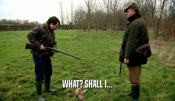 WHAT? SHALL I...  