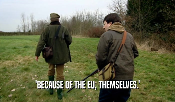 'BECAUSE OF THE EU, THEMSELVES.'  