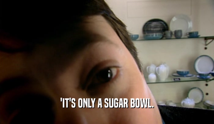 'IT'S ONLY A SUGAR BOWL.  