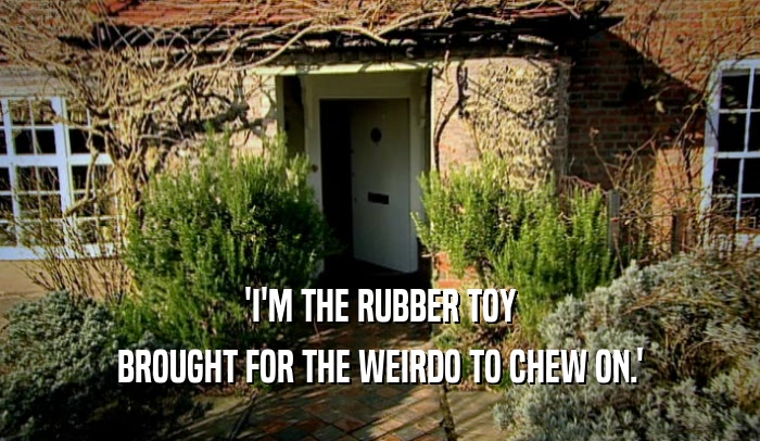 'I'M THE RUBBER TOY BROUGHT FOR THE WEIRDO TO CHEW ON.' 