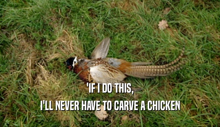 'IF I DO THIS, I'LL NEVER HAVE TO CARVE A CHICKEN 