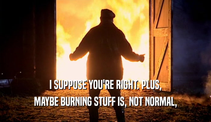 I SUPPOSE YOU'RE RIGHT. PLUS, MAYBE BURNING STUFF IS, NOT NORMAL, 
