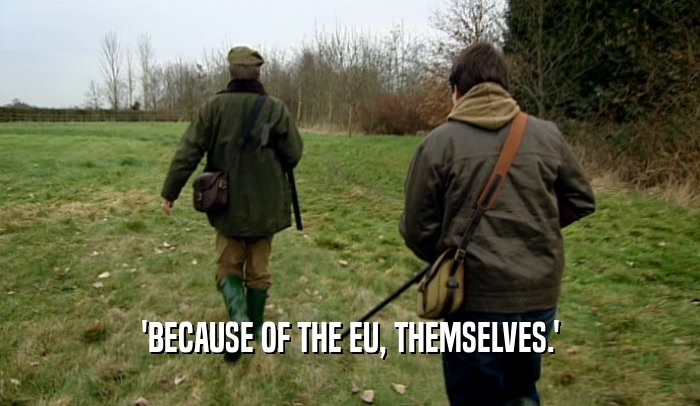 'BECAUSE OF THE EU, THEMSELVES.'  