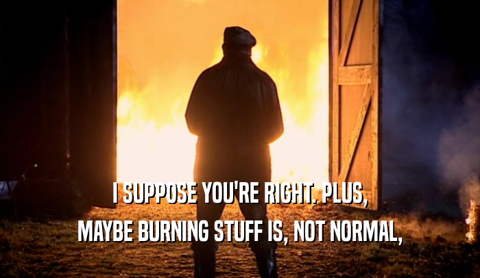 I SUPPOSE YOU'RE RIGHT. PLUS, MAYBE BURNING STUFF IS, NOT NORMAL, 