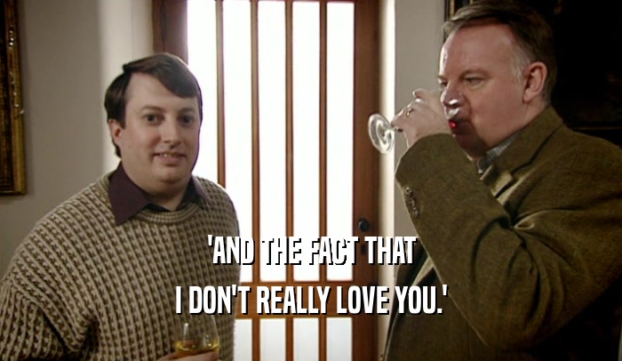 'AND THE FACT THAT I DON'T REALLY LOVE YOU.' 