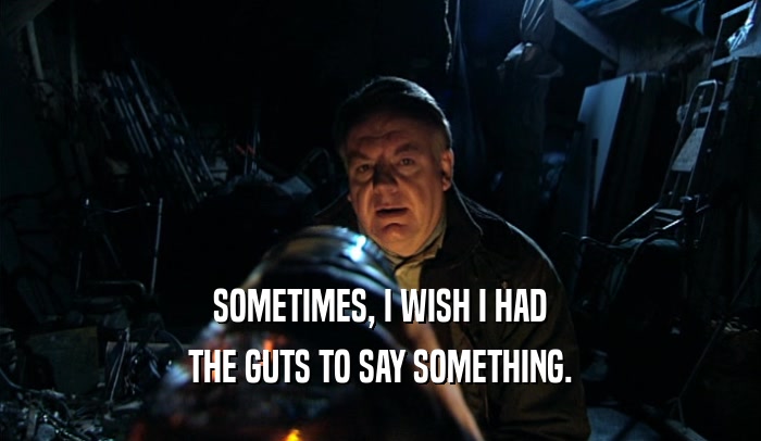 SOMETIMES, I WISH I HAD THE GUTS TO SAY SOMETHING. 