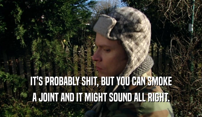 IT'S PROBABLY SHIT, BUT YOU CAN SMOKE A JOINT AND IT MIGHT SOUND ALL RIGHT. 