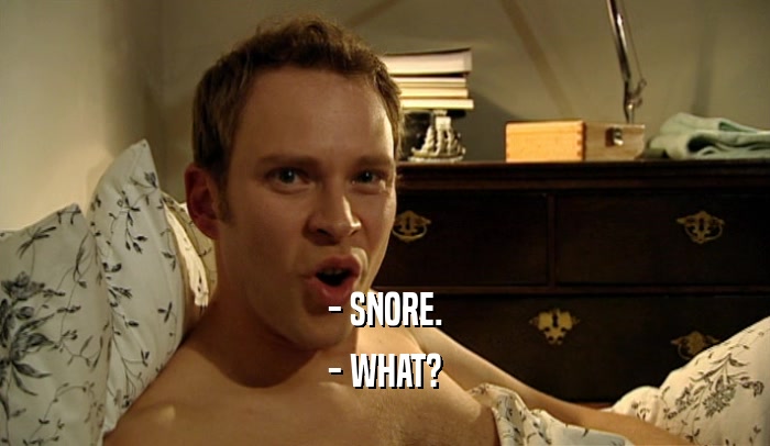 - SNORE. - WHAT? 