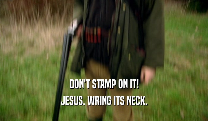 DON'T STAMP ON IT! JESUS. WRING ITS NECK. 