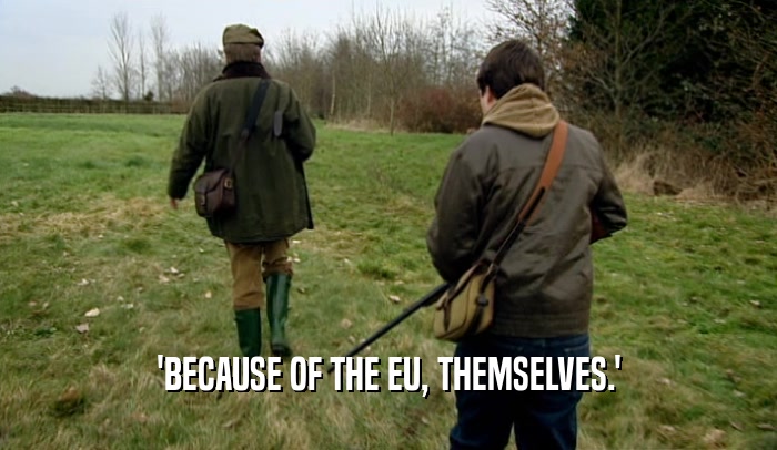 'BECAUSE OF THE EU, THEMSELVES.'  