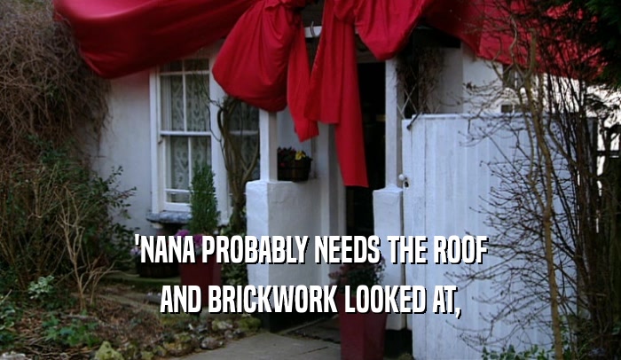 'NANA PROBABLY NEEDS THE ROOF AND BRICKWORK LOOKED AT, 