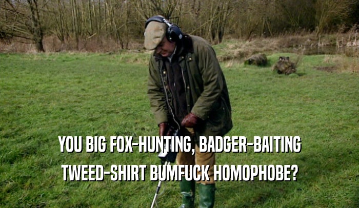 YOU BIG FOX-HUNTING, BADGER-BAITING TWEED-SHIRT BUMFUCK HOMOPHOBE? 