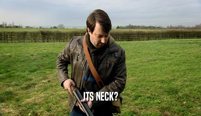 ITS NECK?  