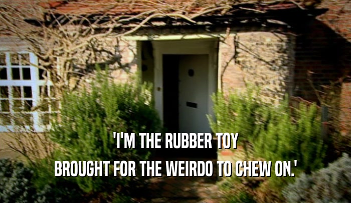 'I'M THE RUBBER TOY BROUGHT FOR THE WEIRDO TO CHEW ON.' 