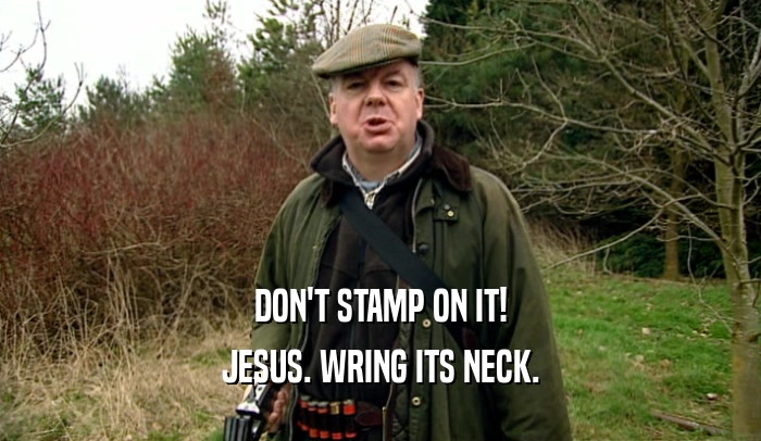 DON'T STAMP ON IT! JESUS. WRING ITS NECK. 