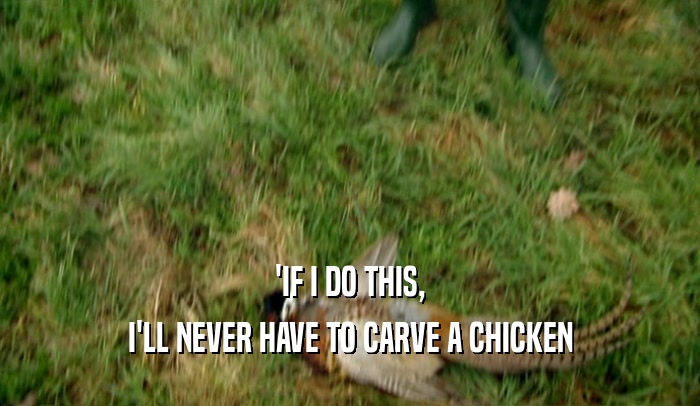 'IF I DO THIS, I'LL NEVER HAVE TO CARVE A CHICKEN 