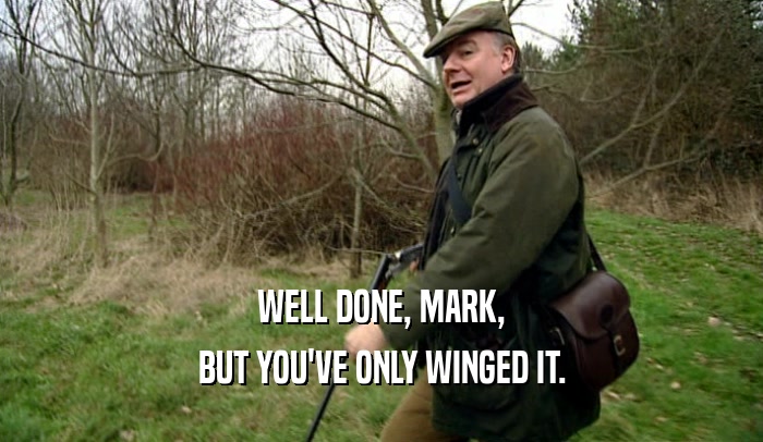 WELL DONE, MARK,
 BUT YOU'VE ONLY WINGED IT.
 