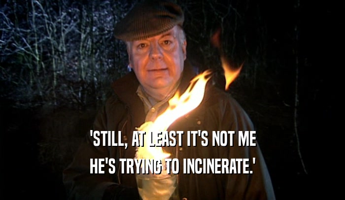 'STILL, AT LEAST IT'S NOT ME HE'S TRYING TO INCINERATE.' 