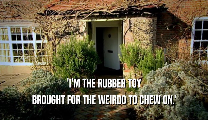 'I'M THE RUBBER TOY BROUGHT FOR THE WEIRDO TO CHEW ON.' 
