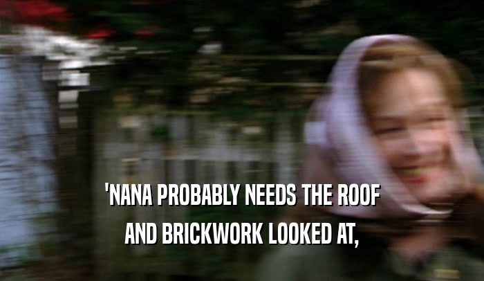 'NANA PROBABLY NEEDS THE ROOF AND BRICKWORK LOOKED AT, 