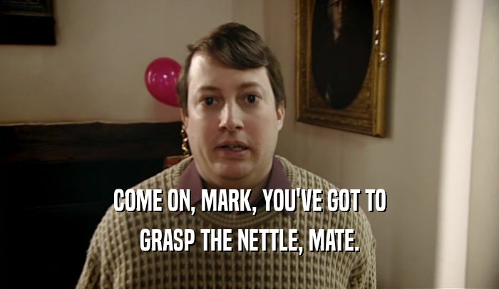 COME ON, MARK, YOU'VE GOT TO GRASP THE NETTLE, MATE. 