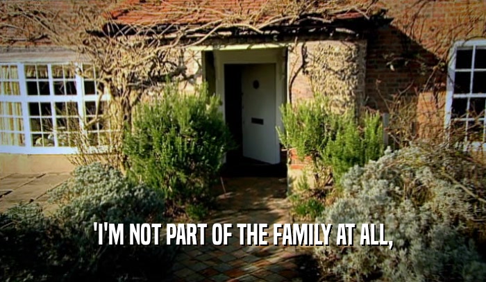 'I'M NOT PART OF THE FAMILY AT ALL,  