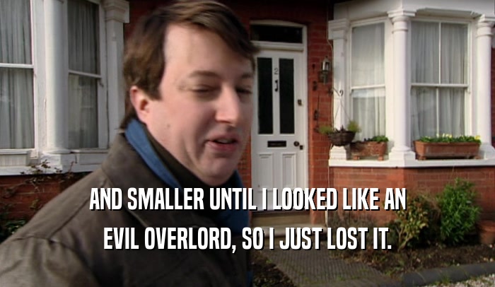 AND SMALLER UNTIL I LOOKED LIKE AN EVIL OVERLORD, SO I JUST LOST IT. 