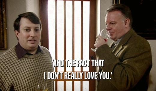 'AND THE FACT THAT I DON'T REALLY LOVE YOU.' 
