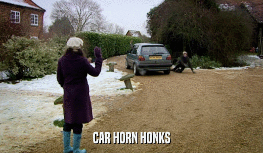 CAR HORN HONKS  