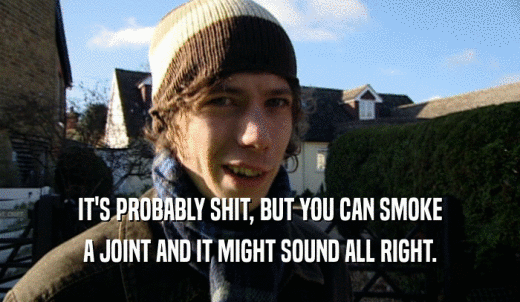 IT'S PROBABLY SHIT, BUT YOU CAN SMOKE A JOINT AND IT MIGHT SOUND ALL RIGHT. 