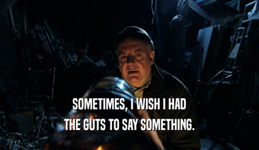 SOMETIMES, I WISH I HAD THE GUTS TO SAY SOMETHING. 