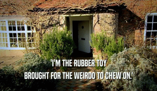 'I'M THE RUBBER TOY BROUGHT FOR THE WEIRDO TO CHEW ON.' 