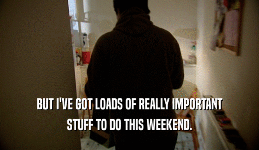 BUT I'VE GOT LOADS OF REALLY IMPORTANT STUFF TO DO THIS WEEKEND. 