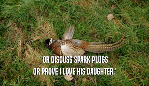 'OR DISCUSS SPARK PLUGS OR PROVE I LOVE HIS DAUGHTER.' 