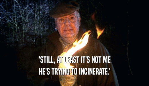 'STILL, AT LEAST IT'S NOT ME HE'S TRYING TO INCINERATE.' 