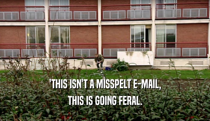 'THIS ISN'T A MISSPELT E-MAIL, THIS IS GOING FERAL. 