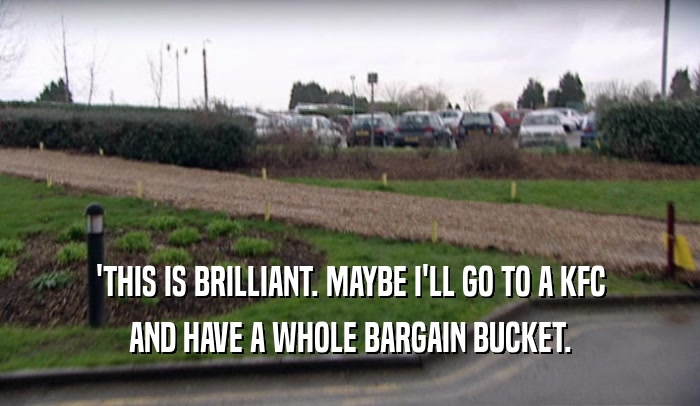 'THIS IS BRILLIANT. MAYBE I'LL GO TO A KFC AND HAVE A WHOLE BARGAIN BUCKET. 