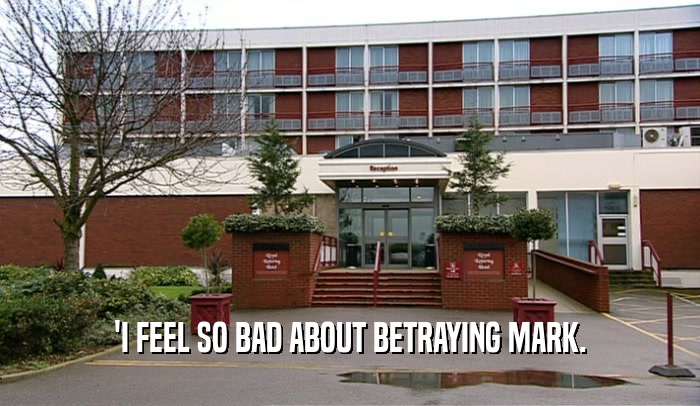 'I FEEL SO BAD ABOUT BETRAYING MARK.  