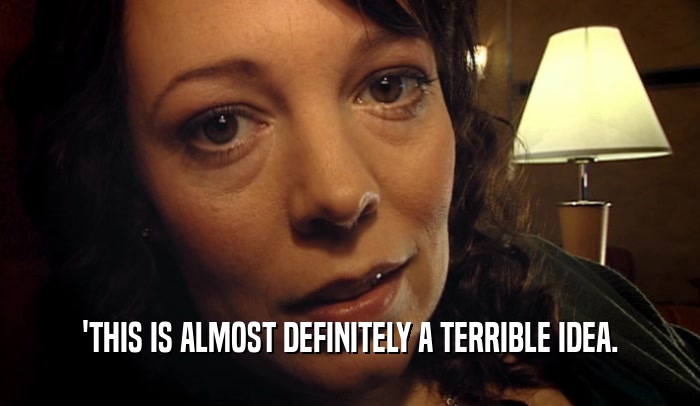 'THIS IS ALMOST DEFINITELY A TERRIBLE IDEA.  