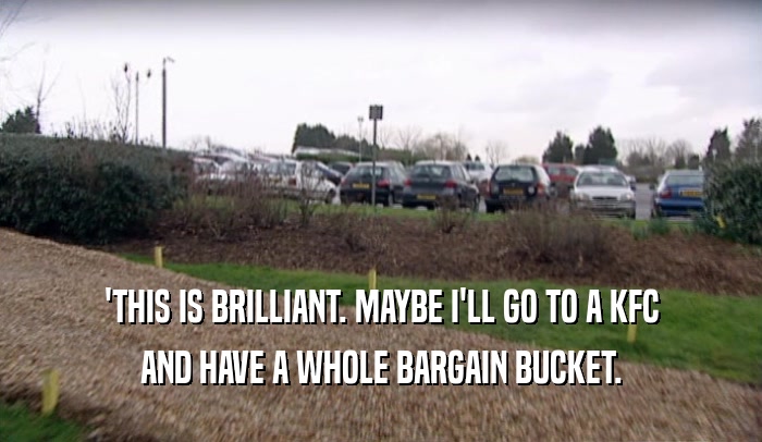 'THIS IS BRILLIANT. MAYBE I'LL GO TO A KFC AND HAVE A WHOLE BARGAIN BUCKET. 