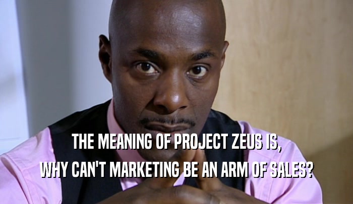 THE MEANING OF PROJECT ZEUS IS, WHY CAN'T MARKETING BE AN ARM OF SALES? 