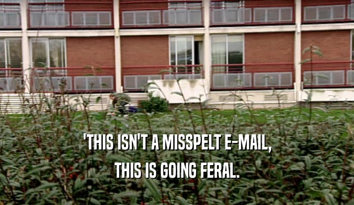 'THIS ISN'T A MISSPELT E-MAIL, THIS IS GOING FERAL. 