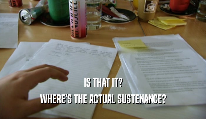 IS THAT IT? WHERE'S THE ACTUAL SUSTENANCE? 